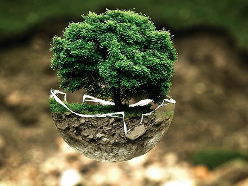 Stratégie de développement durable