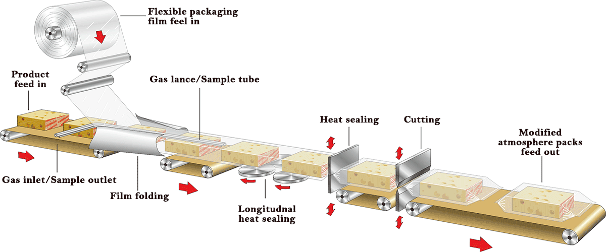 Modified atmosphere packaging