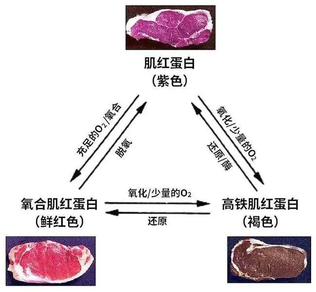 气调包装供应商